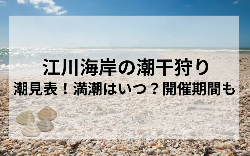 江川海岸の潮干狩り潮見表タイトルのイメージ写真