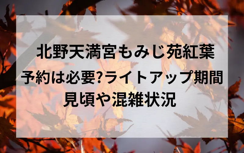 北野天満宮もみじ苑の紅葉予約は必要？ライトアップ期間、見頃や混雑状況タイトルのイメ－ジ写真