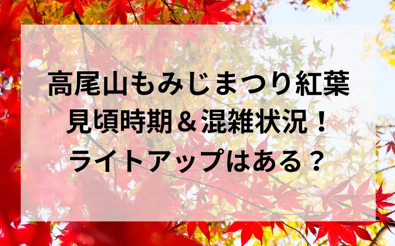 高尾山もみじまつり紅葉の見頃時期＆混雑状況！ ライトアップはある？タイトルのイメ－ジ写真