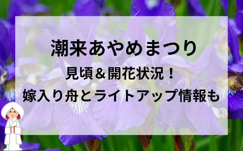 潮来あやめまつり 見頃＆開花状況！嫁入り舟とライトアップ情報タイトルのイメ－ジ写真